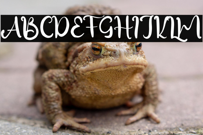 SimpleBeauty Example 3