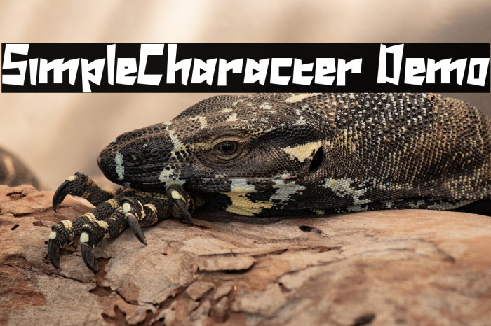 SimpleCharacter Demo Example 1