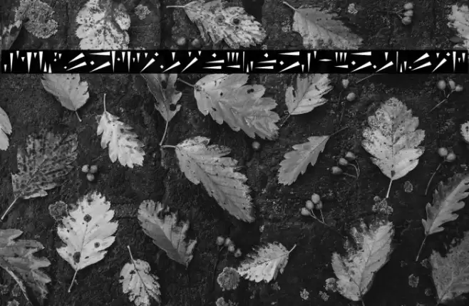 SimpleDragonRunes-Regular Font examples