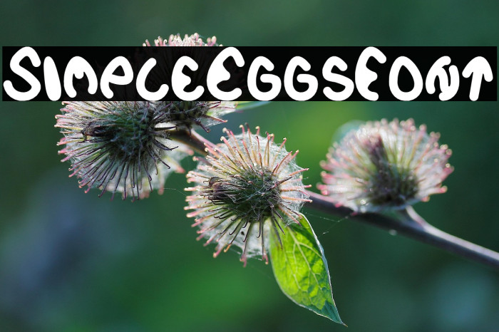 SimpleEggsFont Example 3