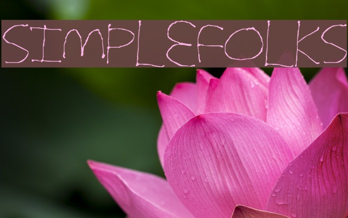 SimpleFolks Polices examples