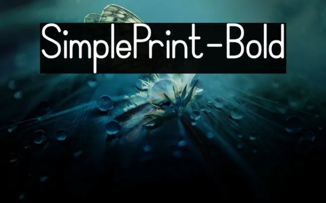 SimplePrint-Bold Example 1
