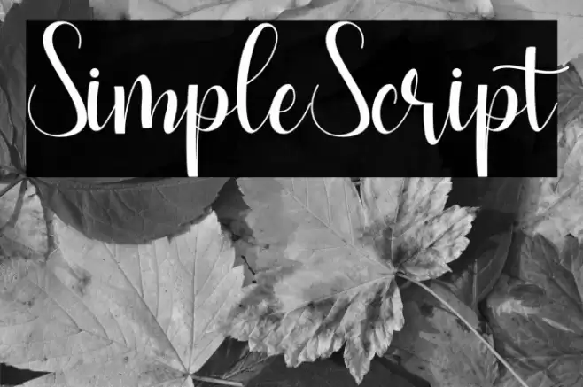 SimpleScript Font examples