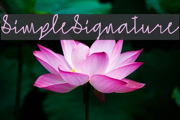 SimpleSignature Font examples
