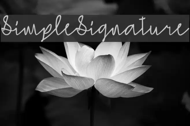 SimpleSignature Fuentes examples