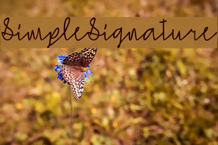 SimpleSignature Font examples
