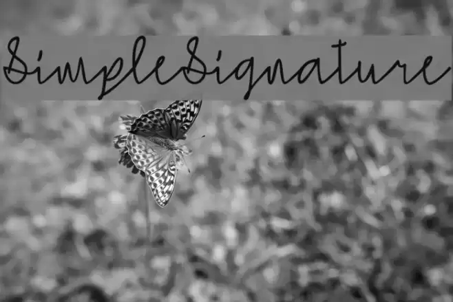SimpleSignature Fuentes examples