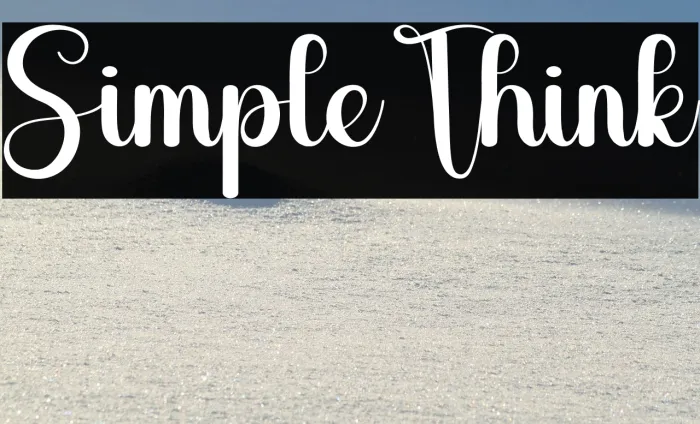 SimpleThink Example 3