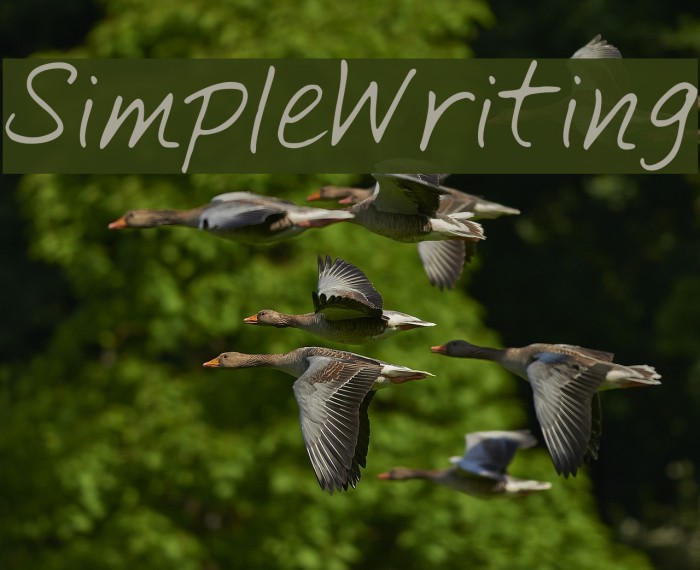 SimpleWriting Font examples