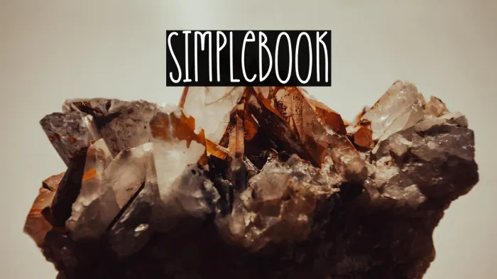 Simplebook Example 1