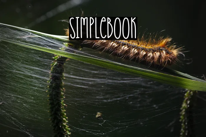 Simplebook Example 2