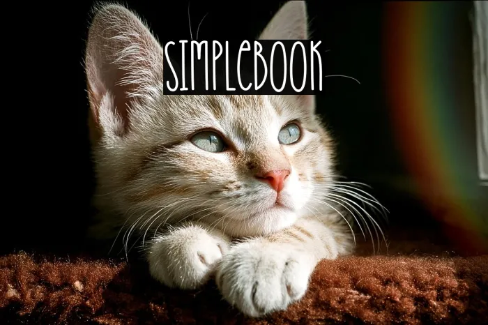 Simplebook Example 3