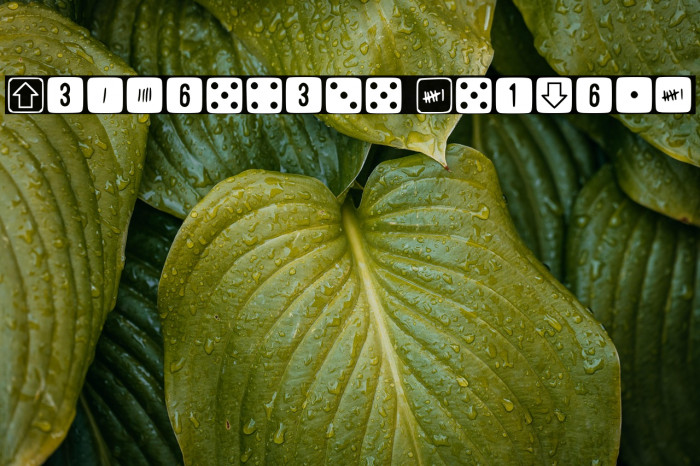 Simpledice Regular Example 2