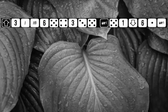 Simpledice Regular Font examples