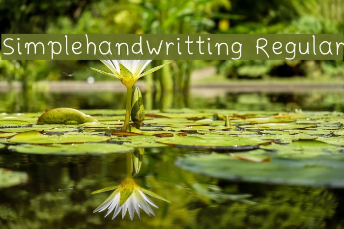 Simplehandwritting Regular Font examples