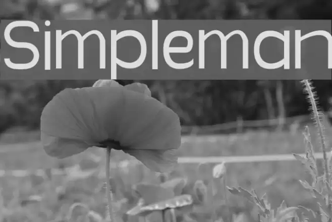Simpleman Шрифта examples