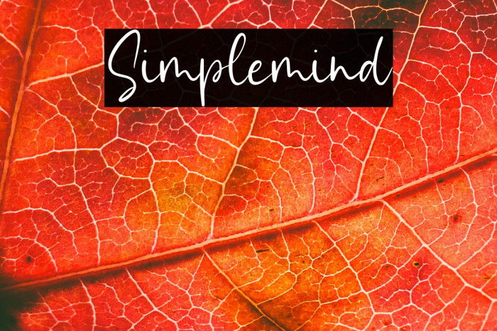 Simplemind Example 1