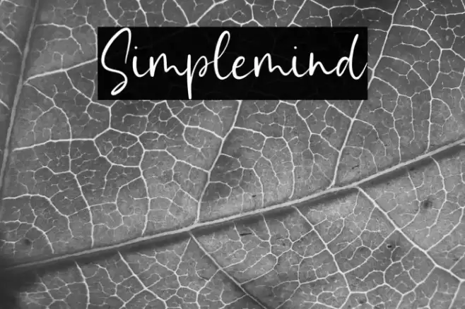 Simplemind Font examples