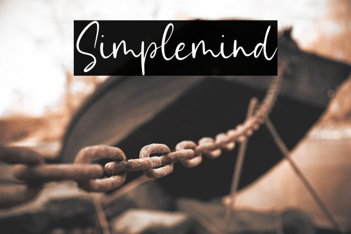 Simplemind Example 2