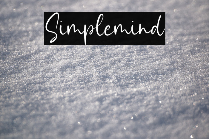 Simplemind Example 3