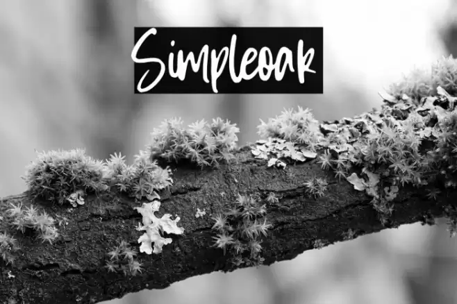 Simpleoak Font examples