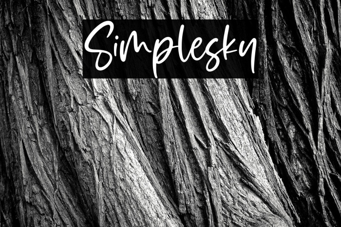 Simplesky Example 1