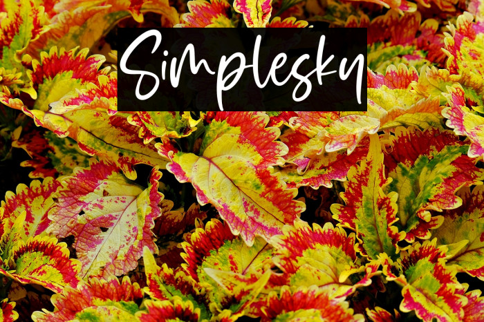 Simplesky Example 3