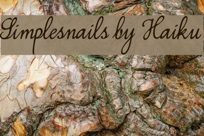 Simplesnails by Haiku Font examples