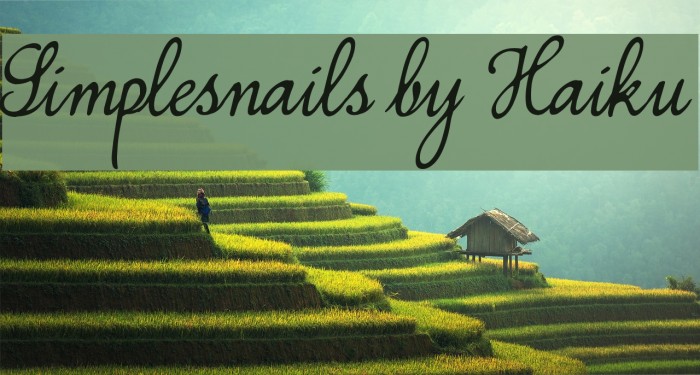 Simplesnails by Haiku Font examples