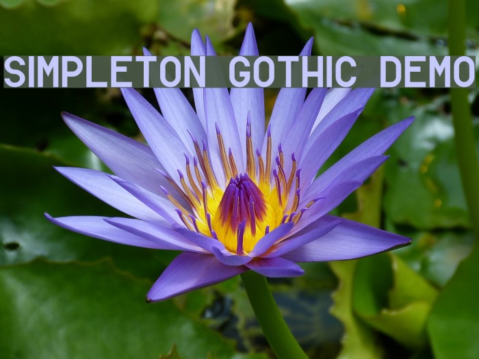 Simpleton Gothic Demo Font examples