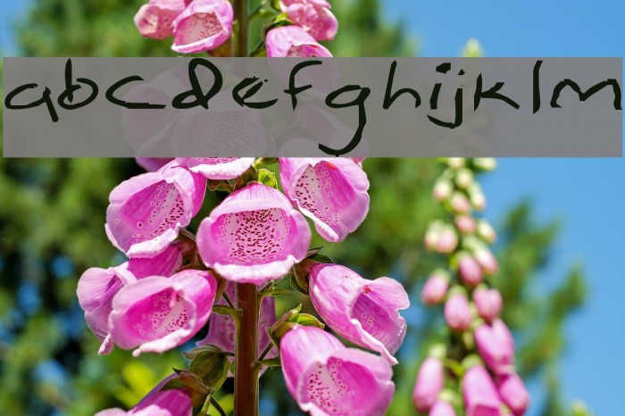 Simpleton Font examples