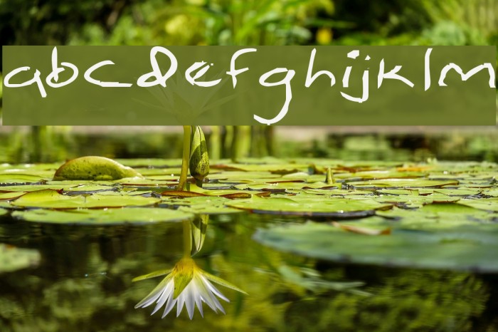 Simpleton Font examples