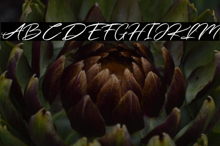 Simpletune-FreePersonalUse Example 1