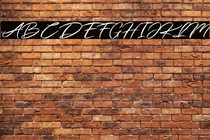 Simpletune-FreePersonalUse Example 2