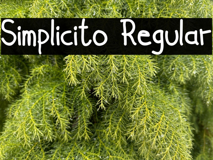 Simplicito Regular Example 1