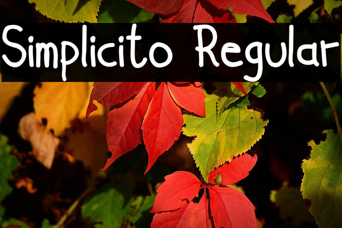 Simplicito Regular Example 3