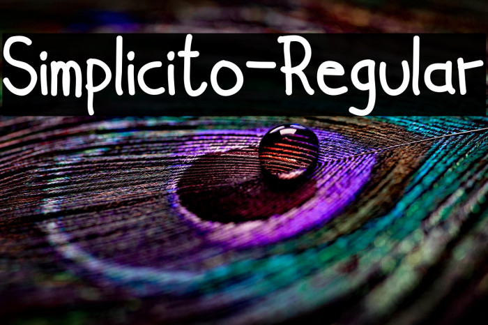 Simplicito-Regular Example 1