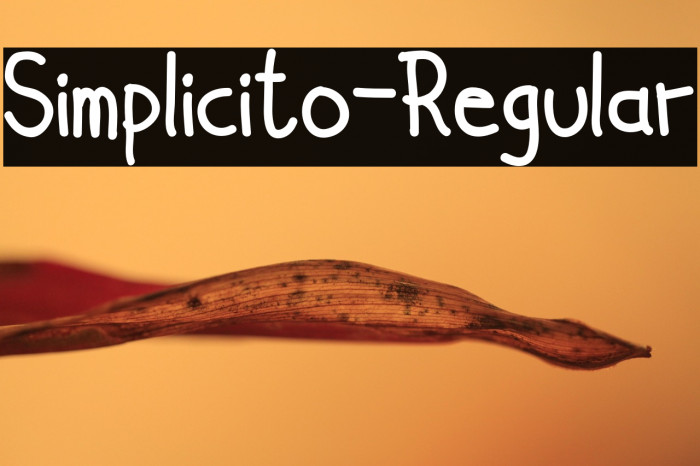 Simplicito-Regular Example 3