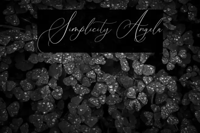 Simplicity Angela Font examples