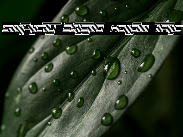 Simplicity Extend Hollow Italic Example 3