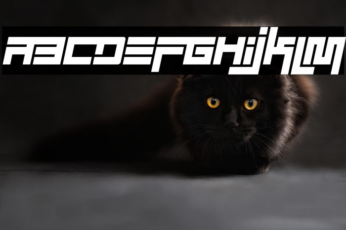 Simplicity Extend Italic Example 1