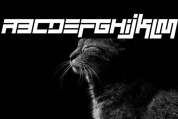 Simplicity Extend Italic Example 2