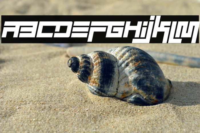 Simplicity Extend Italic Example 3