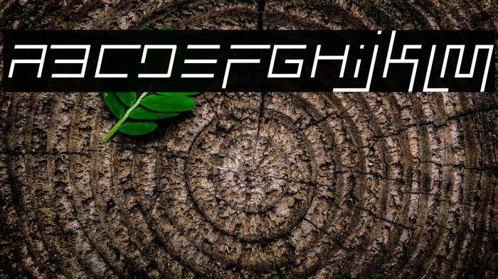 Simplicity Extend Thin Italic Example 2