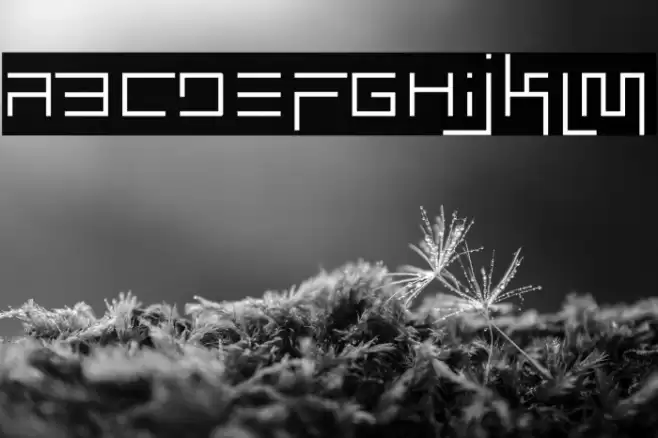 Simplicity Extend Thin Font examples