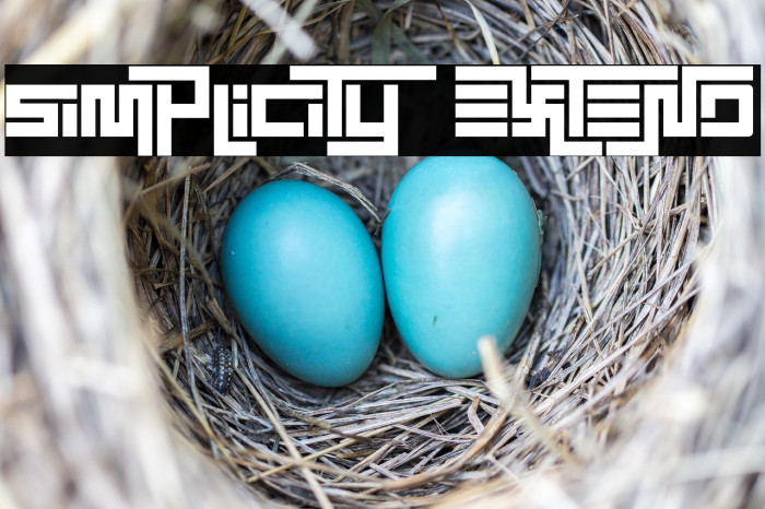 Simplicity Extend Example 1