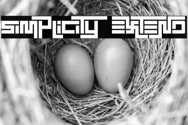 Simplicity Extend Font examples