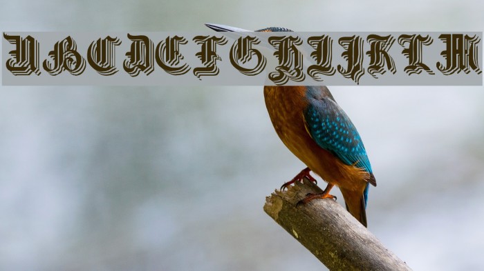 Simplicity No3 Font examples