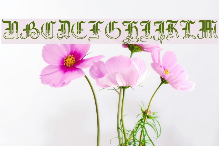 Simplicity No4 Font examples