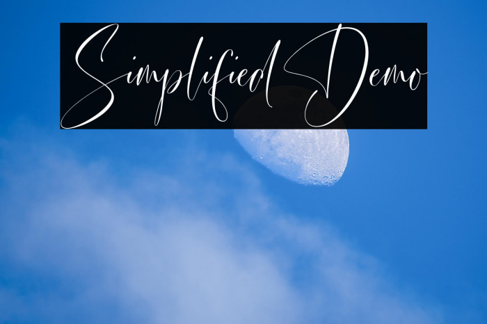 Simplified Demo Example 3